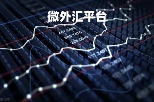 微外汇平台「微交易外汇交易入门」