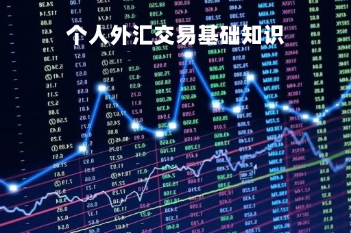 个人外汇交易基础知识「个人外汇相关知识」
