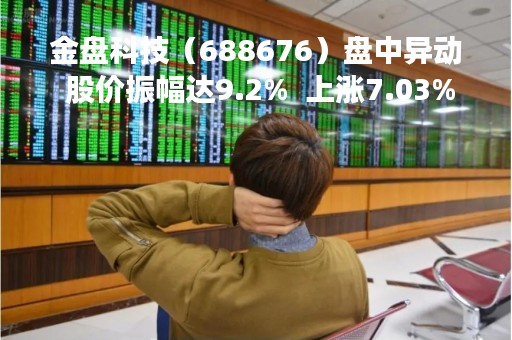 金盘科技（688676）盘中异动 股价振幅达9.2%  上涨7.03%（04-18）
