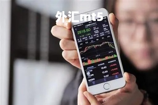 外汇mt5「外汇MT5源码」