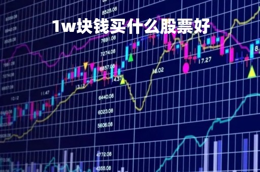 1w块钱买什么股票好「一万块钱的股票」