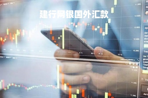 建行网银国外汇款「建设银行网上境外汇款」