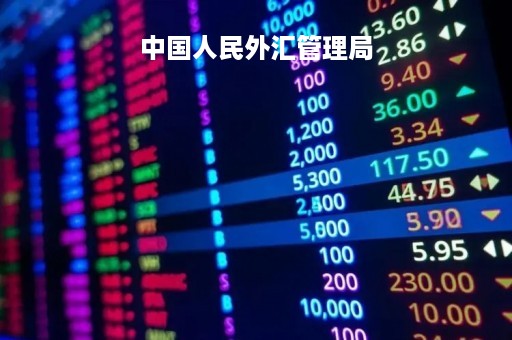 中国人民外汇管理局「外汇管理局 中国人民银行」