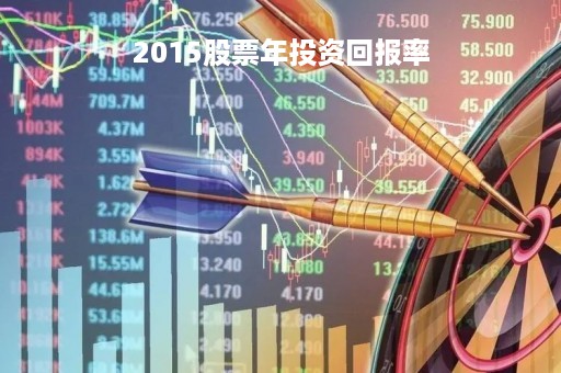 2015股票年投资回报率「2015股票年投资回报率是多少」