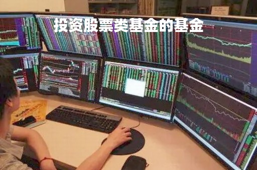 投资股票类基金的基金「投资股票类基金的基金是什么」