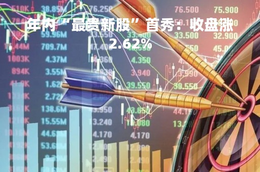 年内“最贵新股”首秀：收盘涨2.62%