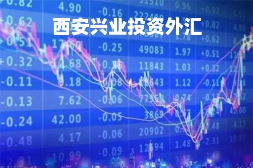 西安兴业投资外汇「hy兴业外汇投资」