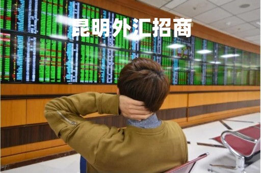 昆明外汇招商「昆明外汇招商银行地址」