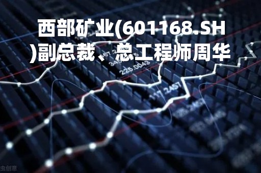 西部矿业(601168.SH)副总裁、总工程师周华荣辞职