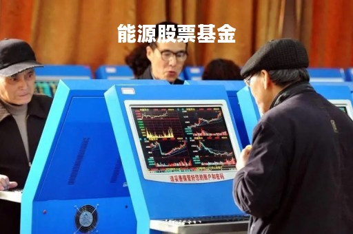 能源股票基金「能源股票基金代码」