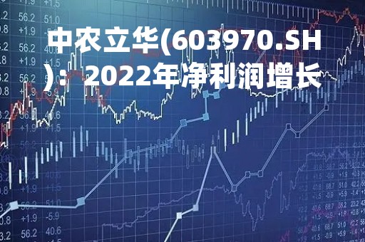 中农立华(603970.SH)：2022年净利润增长23.5%至2.1亿元 拟10转4派5.5元