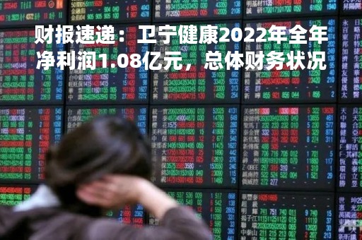 财报速递:卫宁健康2022年全年净利润1.08亿元,总体财务状况一般 财报速递:卫宁健康2022年全年净利润1.08亿元,总体财务状况一般