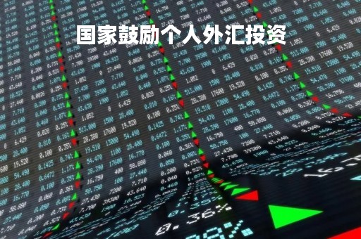 国家鼓励个人外汇投资「个人外汇投资管制」