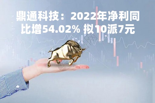 鼎通科技：2022年净利同比增54.02% 拟10派7元