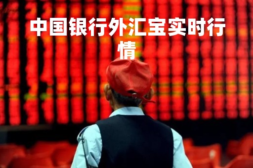 中国银行外汇宝实时行情「中国银行外汇行情表」