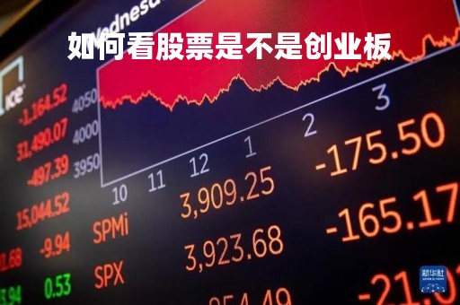 如何看股票是不是创业板「股票怎么看是否是创业板」
