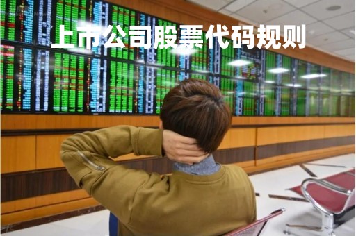 上市公司股票代码规则「上市公司代码含义」