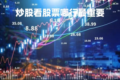 炒股看股票哪行最重要「炒股看什么最重要」