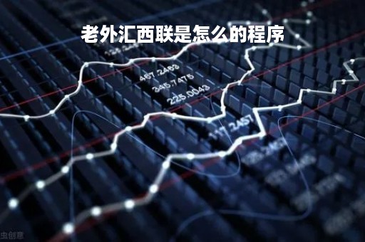 老外汇西联是怎么的程序「西联外汇平台」