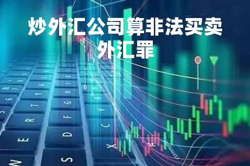 炒外汇公司算非法买卖外汇罪「炒外汇公司合法吗」