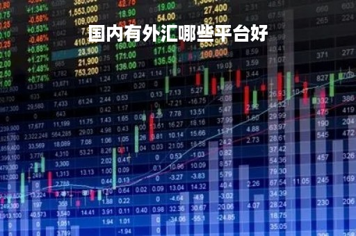 国内有外汇哪些平台好「国内外汇平台排名十名」
