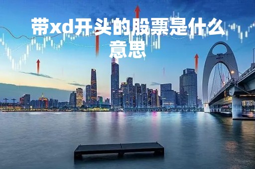 带xd开头的股票是什么意思「带xd开头的股票是什么意思啊」
