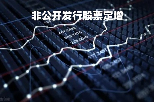 非公开发行股票定增「非公开发行股票定增流程」