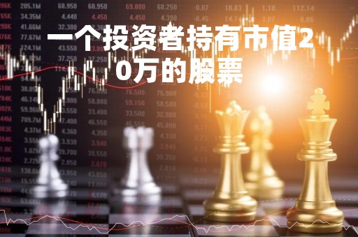 一个投资者持有市值20万的股票「一个投资者持有市值20万的股票怎么样」