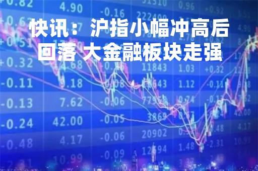 快讯：沪指小幅冲高后回落 大金融板块走强