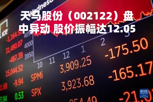 天马股份（002122）盘中异动 股价振幅达12.05%  上涨6.47%（04-18）