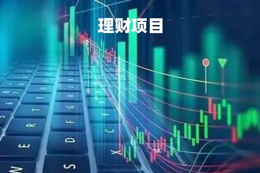 理财项目
