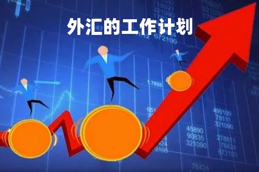 外汇的工作计划「外汇的工作计划是什么」