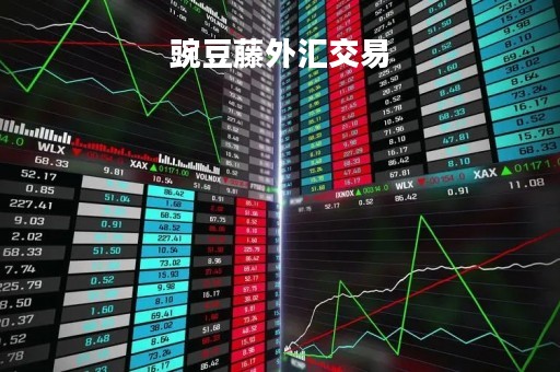 豌豆藤外汇交易「豌豆藤的家常做法」