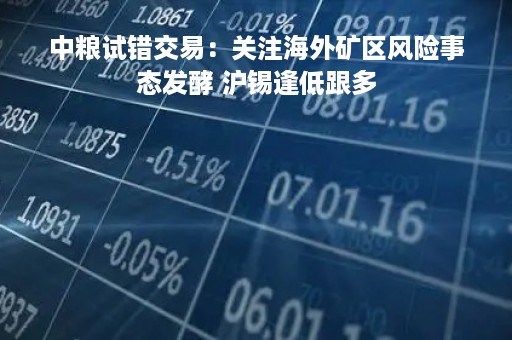 中粮试错交易：关注海外矿区风险事态发酵 沪锡逢低跟多