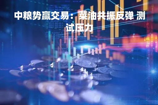 中粮势赢交易：菜油共振反弹 测试压力