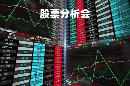 股票分析会「分析股票有用吗」