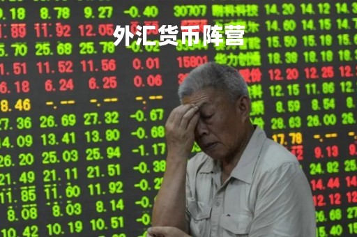外汇货币阵营「外汇业务币种」
