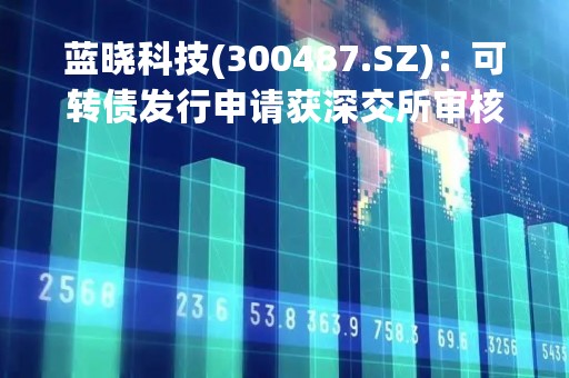 蓝晓科技(300487.SZ)：可转债发行申请获深交所审核通过