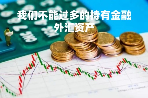 我们不能过多的持有金融外汇资产「中国不允许外汇交易」