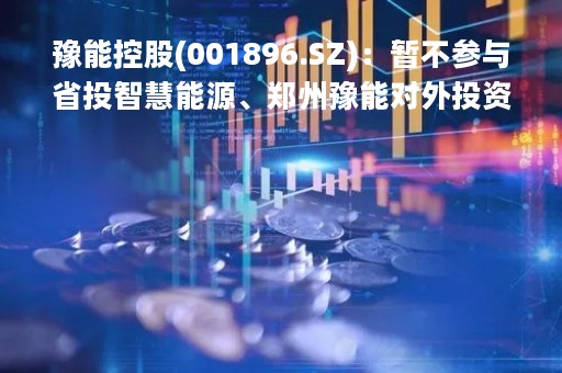 豫能控股(001896.SZ)：暂不参与省投智慧能源、郑州豫能对外投资项目