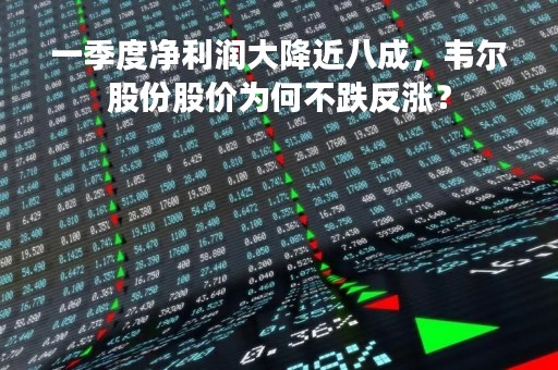 一季度净利润大降近八成，韦尔股份股价为何不跌反涨？