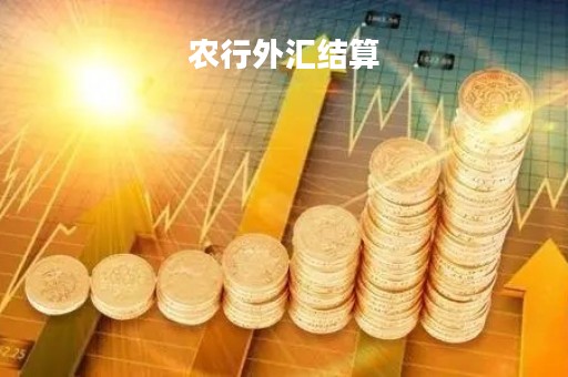 农行外汇结算「农行外汇结汇怎么弄」