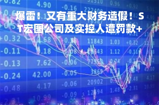 爆雷！又有重大财务造假！ST宏图公司及实控人遭罚款+市场禁入