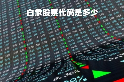 白象股票代码是多少