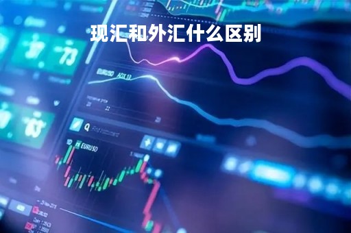 现汇和外汇什么区别「现汇与外汇的区别」