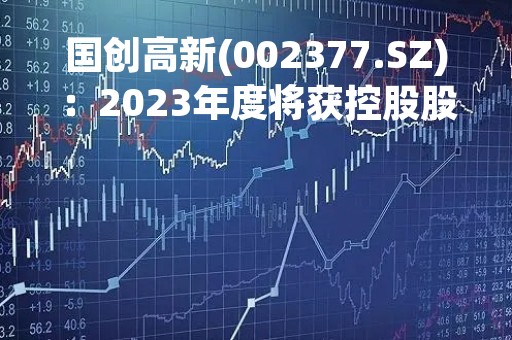 国创高新(002377.SZ)：2023年度将获控股股东无偿提供不超2亿元财务资助