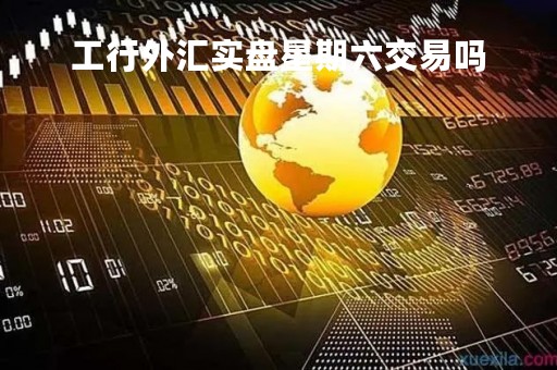 工行外汇实盘星期六交易吗「工商银行今日外汇」