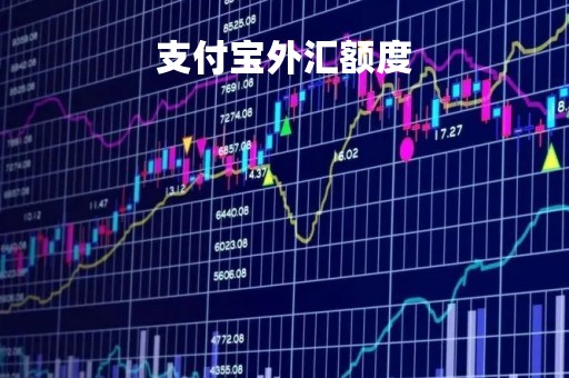 支付宝外汇额度「支付宝境外消费占外汇额度吗」