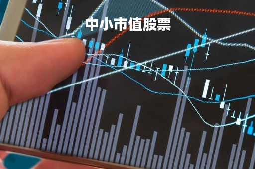 中小市值股票「中小市值股票代表指数」