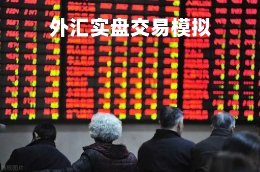 外汇实盘交易模拟「外汇实盘交易模拟目的」